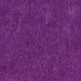 018 Violet Purple