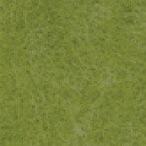 021 Olive Green