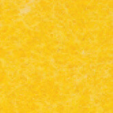 022 Sunny Yellow