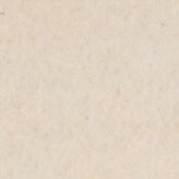 036 Peach Yellow