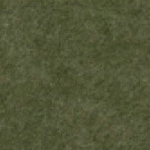 042 Fern Green